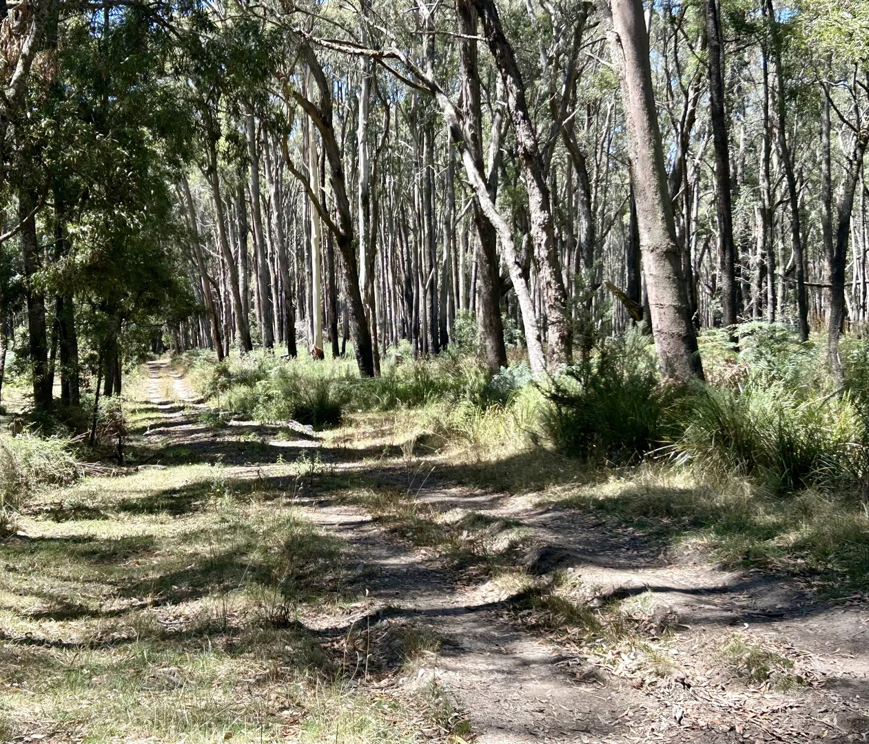 Additional image 10 of 18 Golden Point Road, Trentham VIC 3458