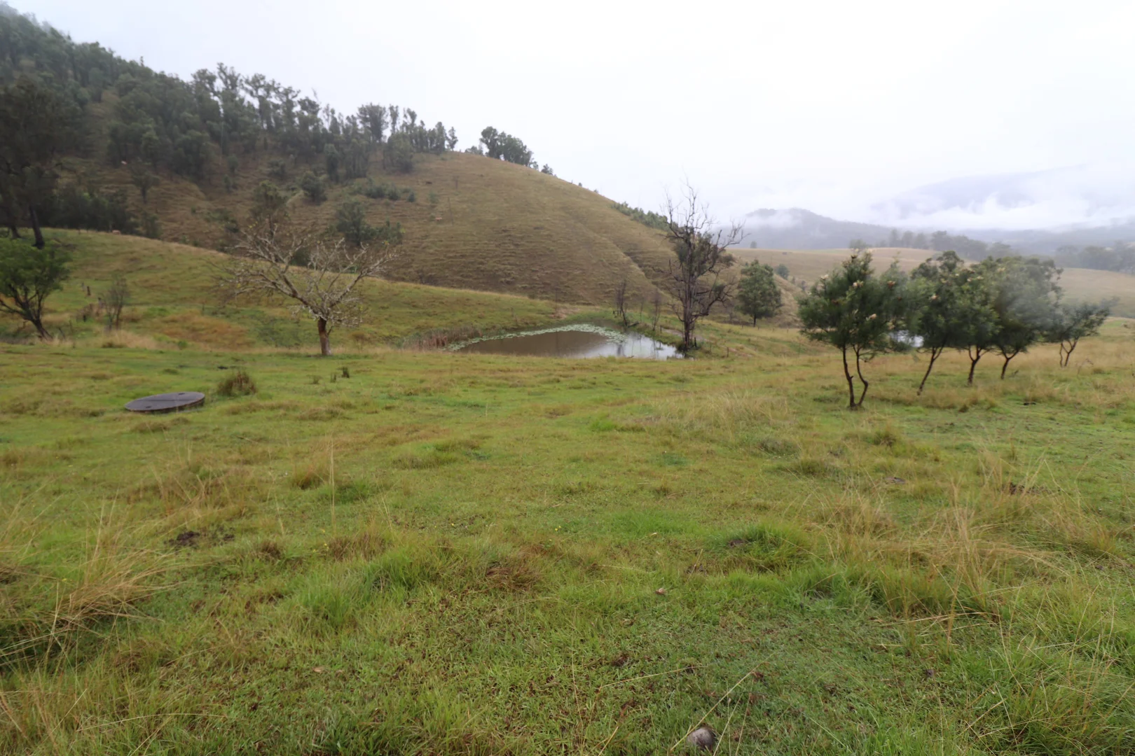 Additional image 21 of 8282 Armidale Road, Lower Creek NSW 2440