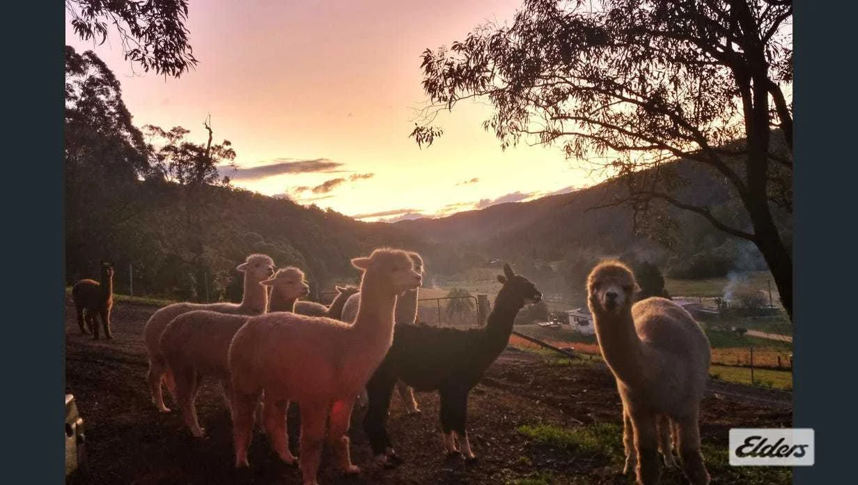 Additional image 10 of 3 Rose Hill Lane, Yarramalong NSW 2259