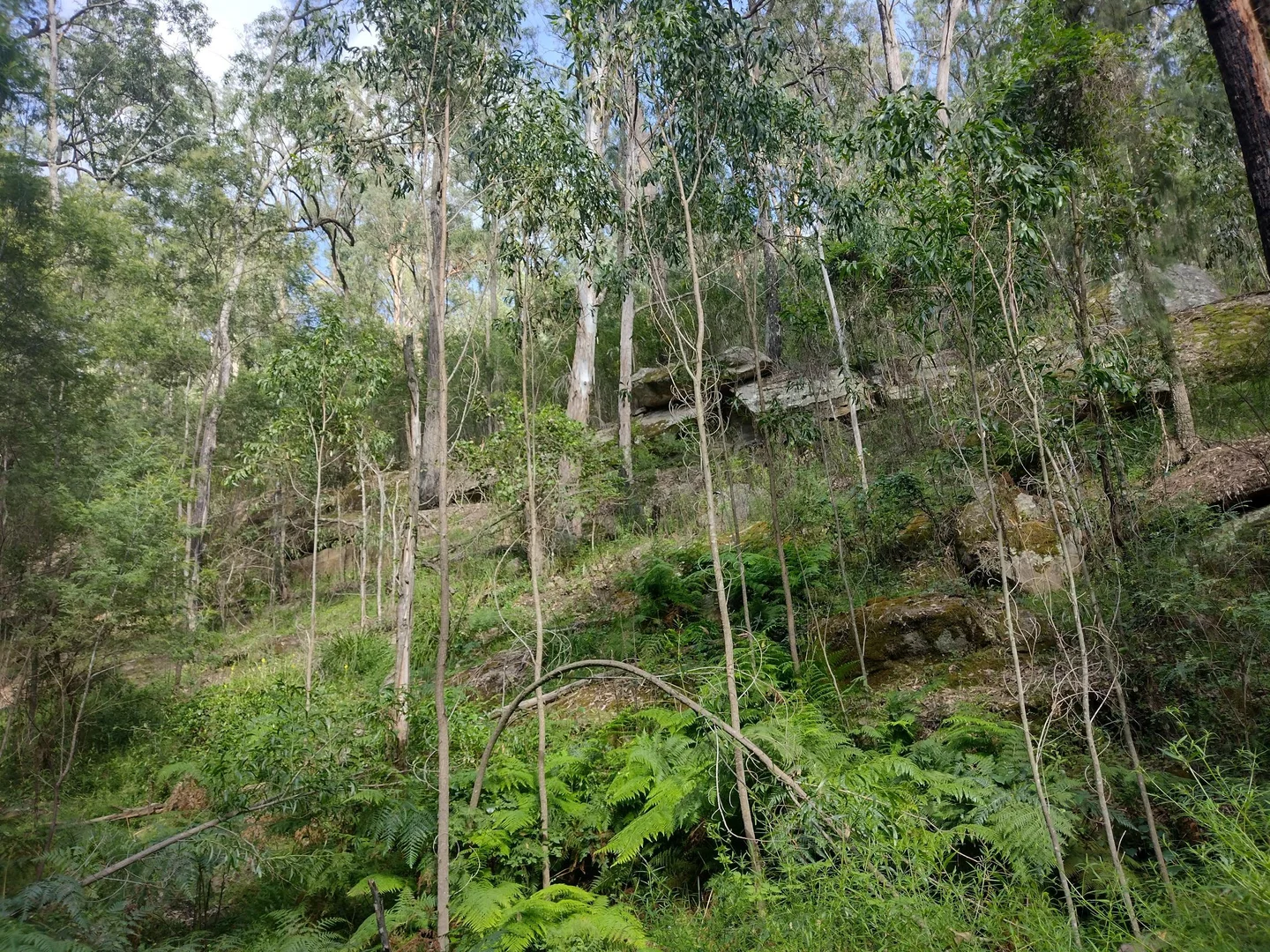 Additional image 30 of 75 L3 Private Access, Laguna NSW 2325