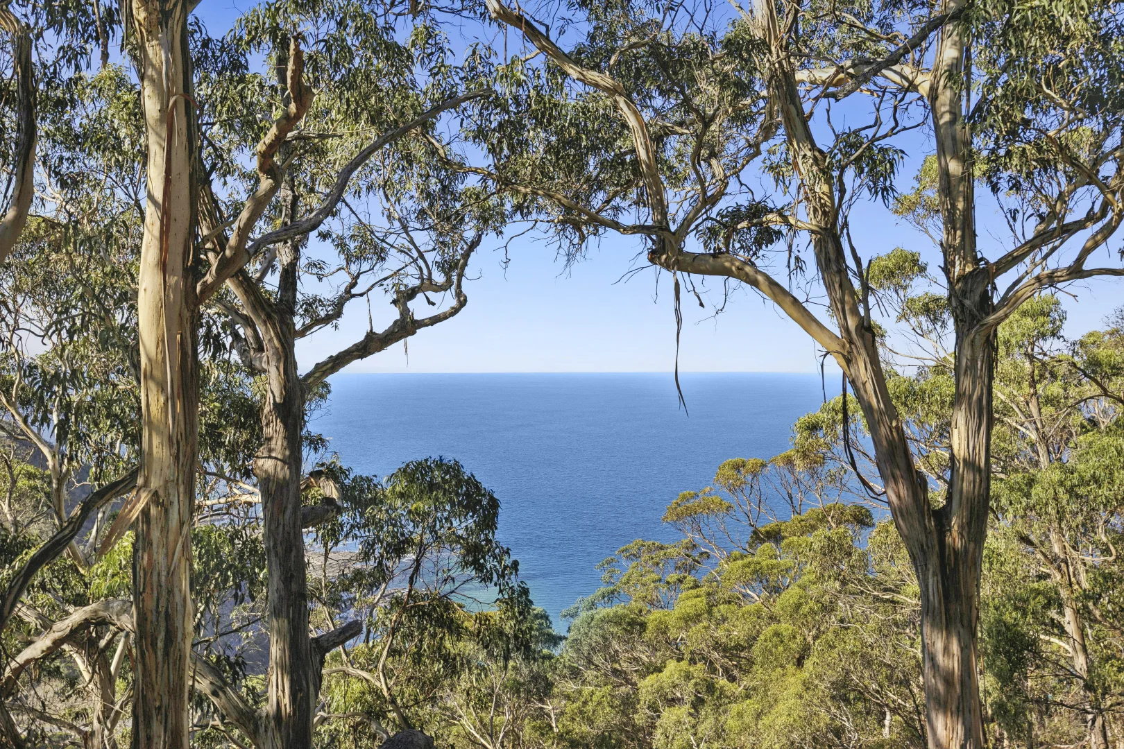 Additional image 22 of 2314 Great Ocean Road, Lorne VIC 3232