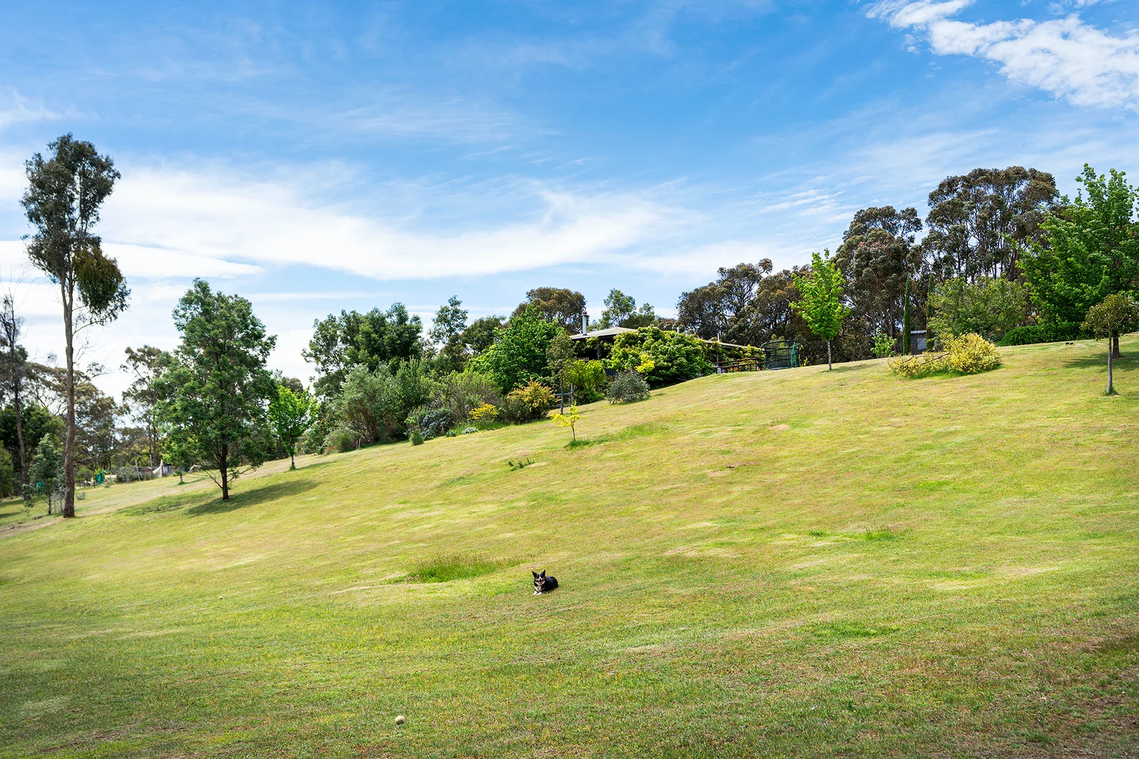 Additional image 17 of 136 Cemetery Road, Elphinstone VIC 3448
