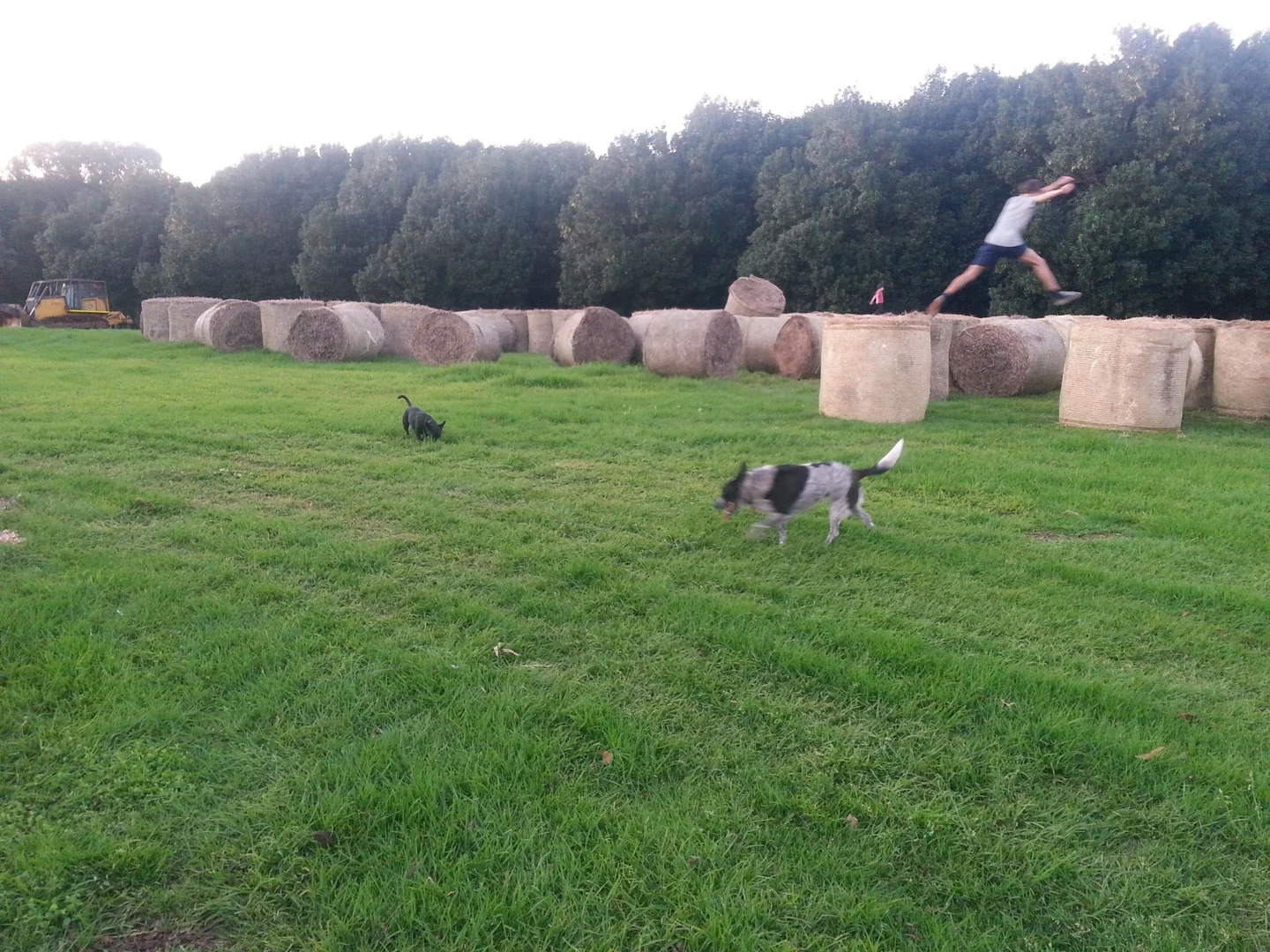 Additional image 6 of Lot 2/149 Federal Drive, Eureka NSW 2480