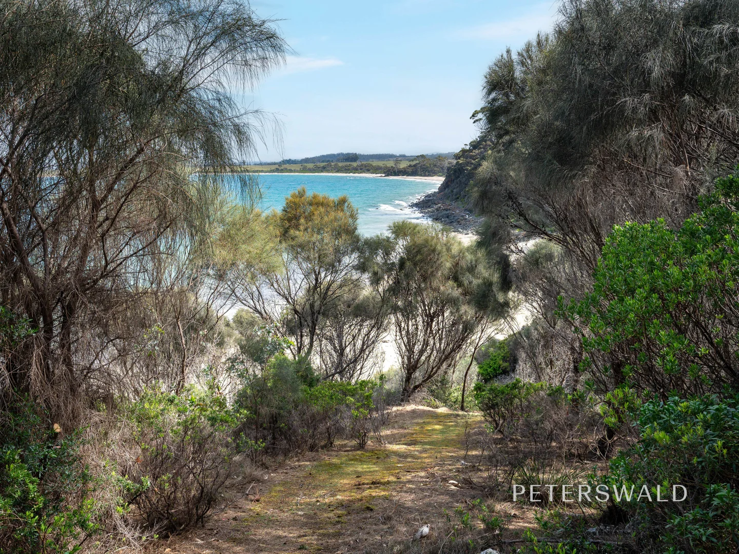 Additional image 12 of 11922 Tasman Highway, Rocky Hills TAS 7190