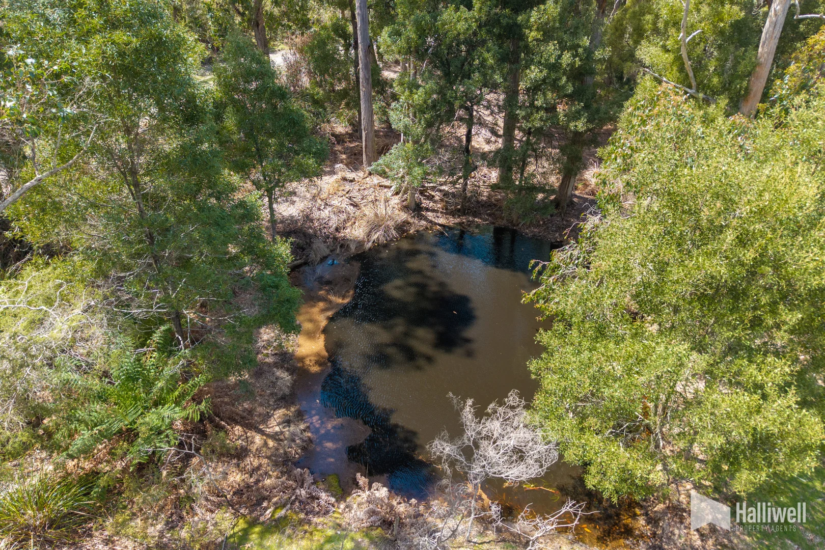 Additional image 9 of 451 Bradys Plain Road, Parkham TAS 7304