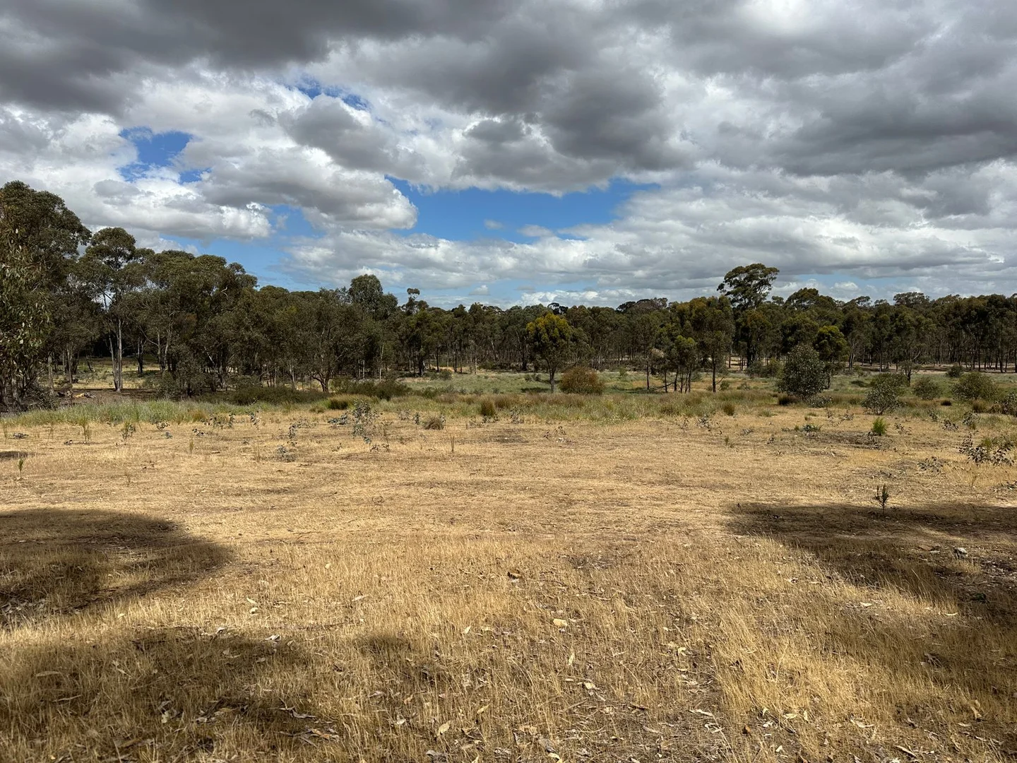 Additional image 6 of Allot 8 Sec 24 Parish of Maryborough Fronting M 30 Track, Maryborough VIC 3465