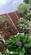 Additional image 30 of Cressing Road, Braintree CM7