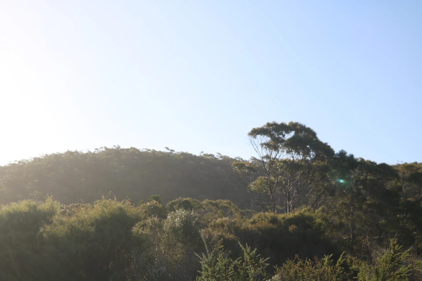 Additional image 14 of PID 7305093 West End Road, Leeka TAS 7255