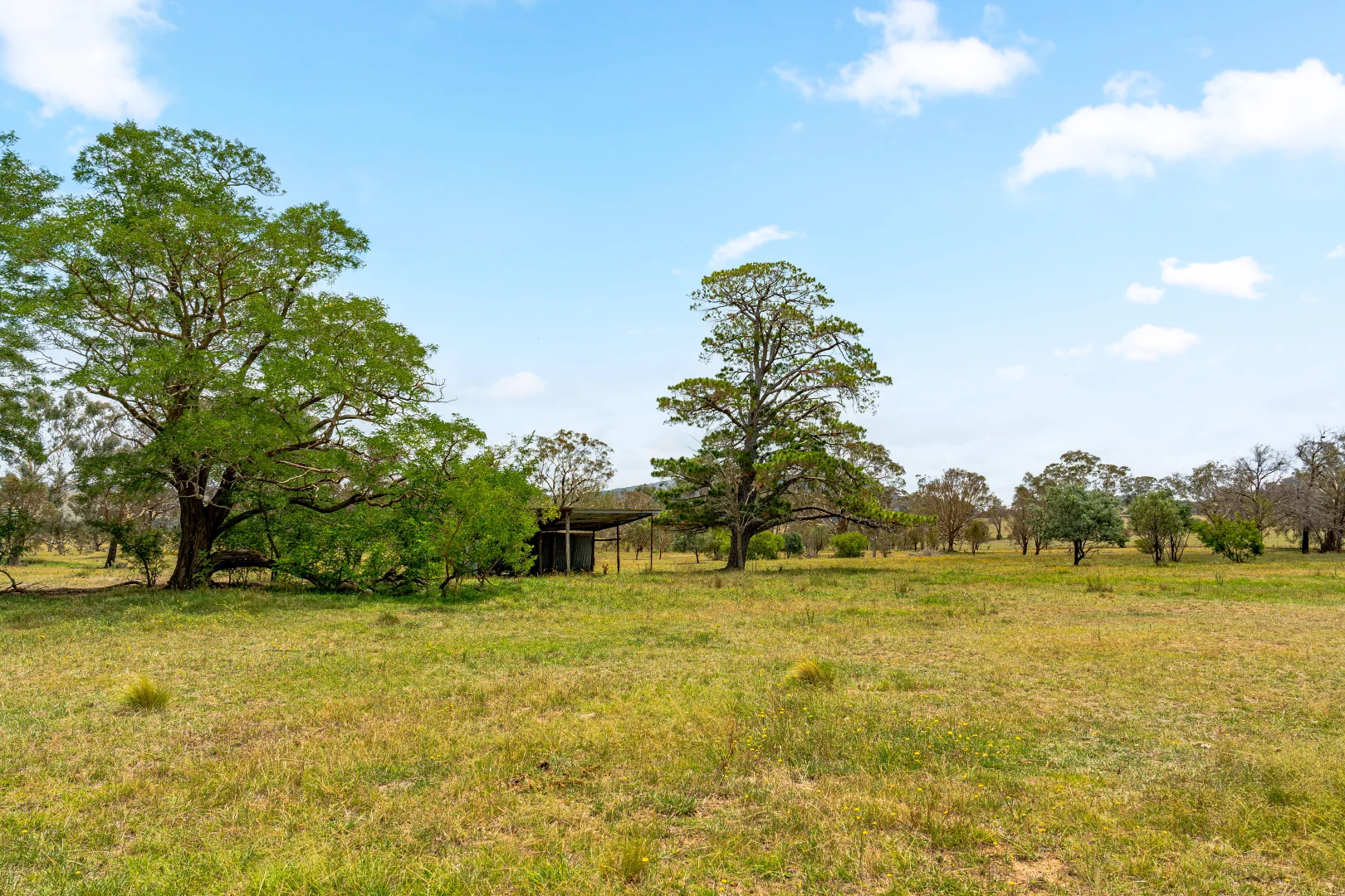 Additional image 66 of 14 Avonley Road, Majura ACT 2609