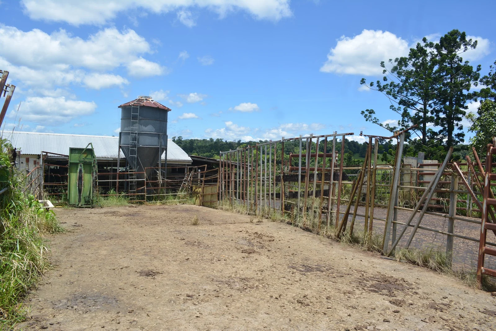 Additional image 68 of 780 MIDDLEBROOK ROAD, Millaa Millaa QLD 4886