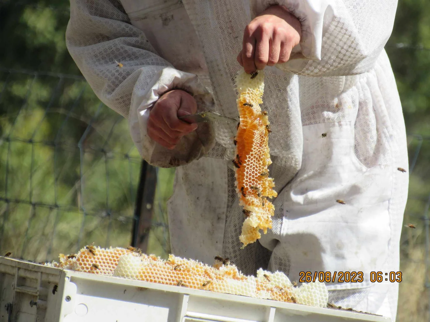 Additional image 28 of 1534 Duncans Creek Road, Duncans Creek NSW 2340