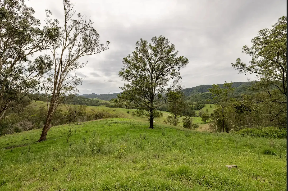 Additional image 21 of 141 Khatambuhl Creek Road, Mount George NSW 2424