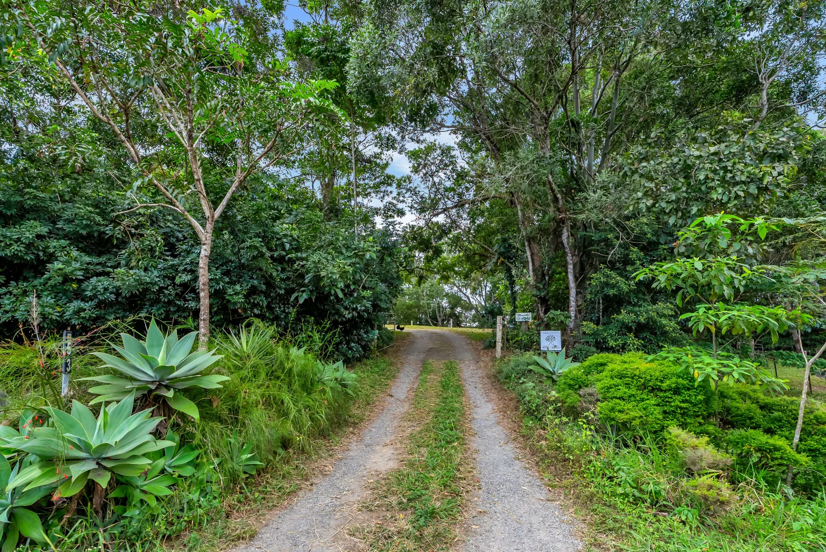 Additional image 12 of 53 Edward Elgar Close, Speewah QLD 4881