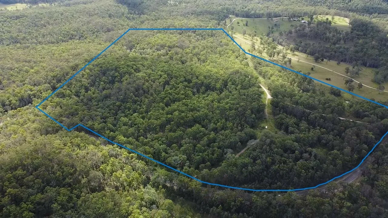 Additional image 2 of 247 Mungay Creek Rd, Mungay Creek NSW 2440