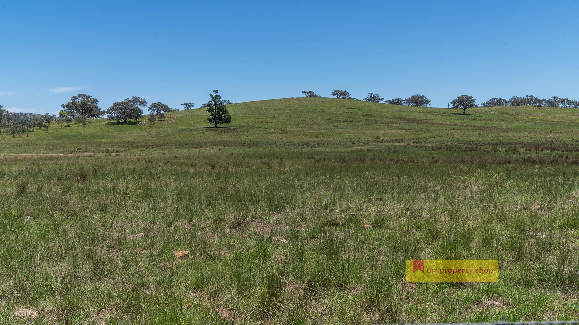 Additional image 8 of 735 Kaludabah Road, Mudgee NSW 2850