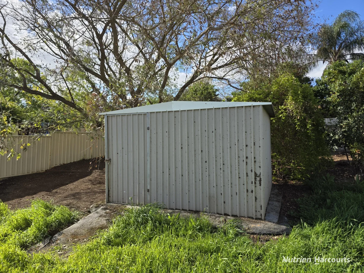 Additional image 23 of 9 McLeod Street, Kojonup WA 6395