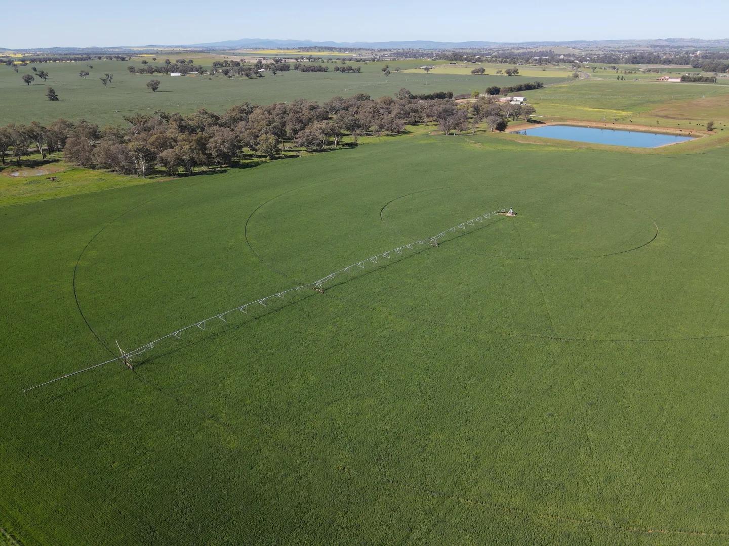 Additional image 14 of 349 Nangar Road, Canowindra NSW 2804