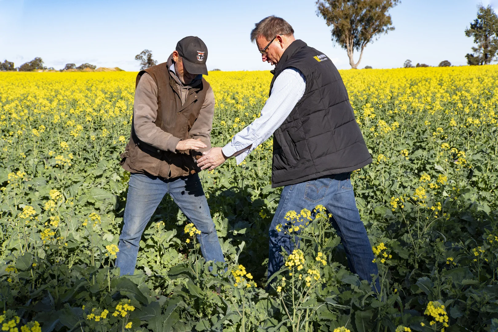 Additional image 21 of 2244 Berrigan Road, Berrigan NSW 2712