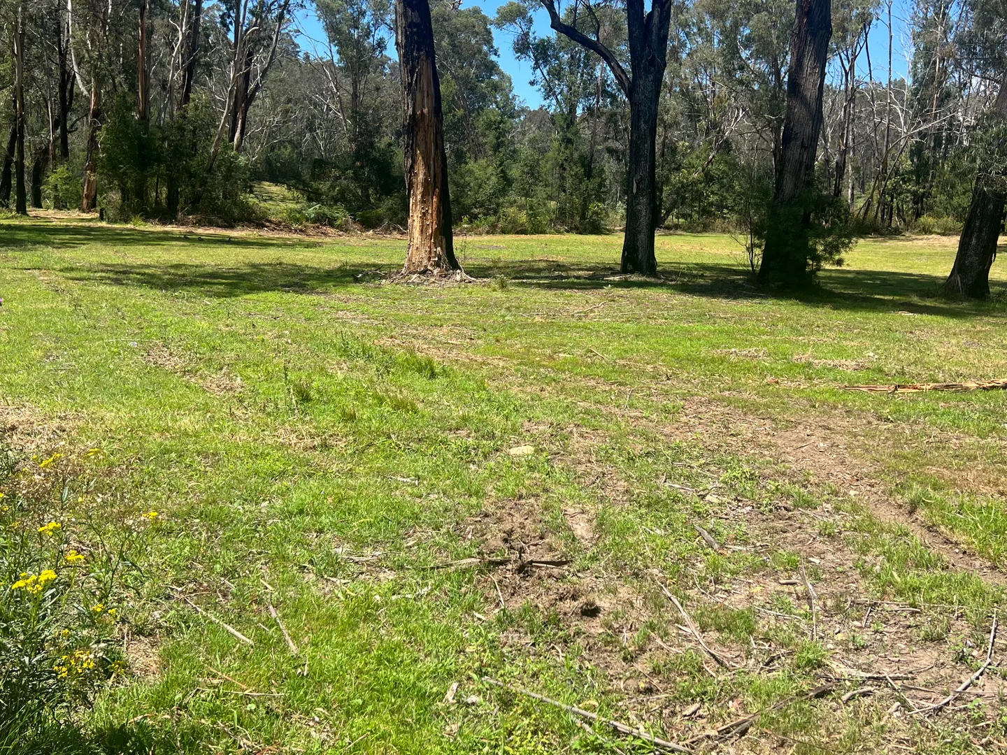 Additional image 8 of Narooma NSW 2546