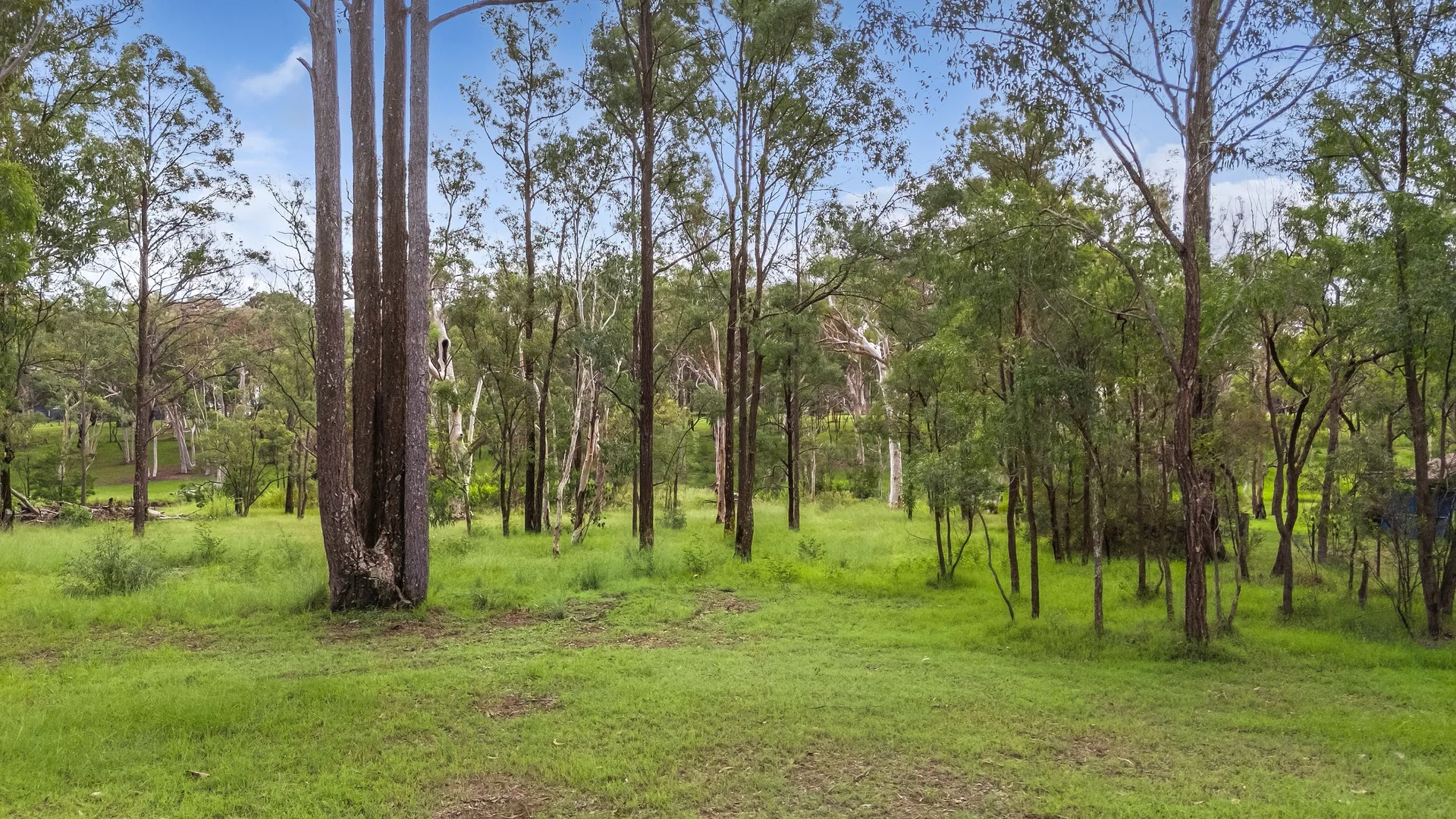 Additional image 22 of 49 Sutherland Road, Londonderry NSW 2753