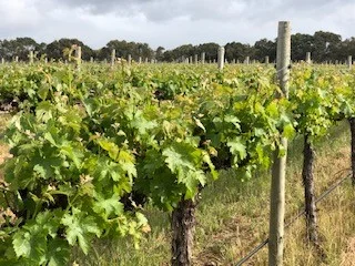 Additional image 4 of 634 Lake Plains Road, Lake Plains SA 5255