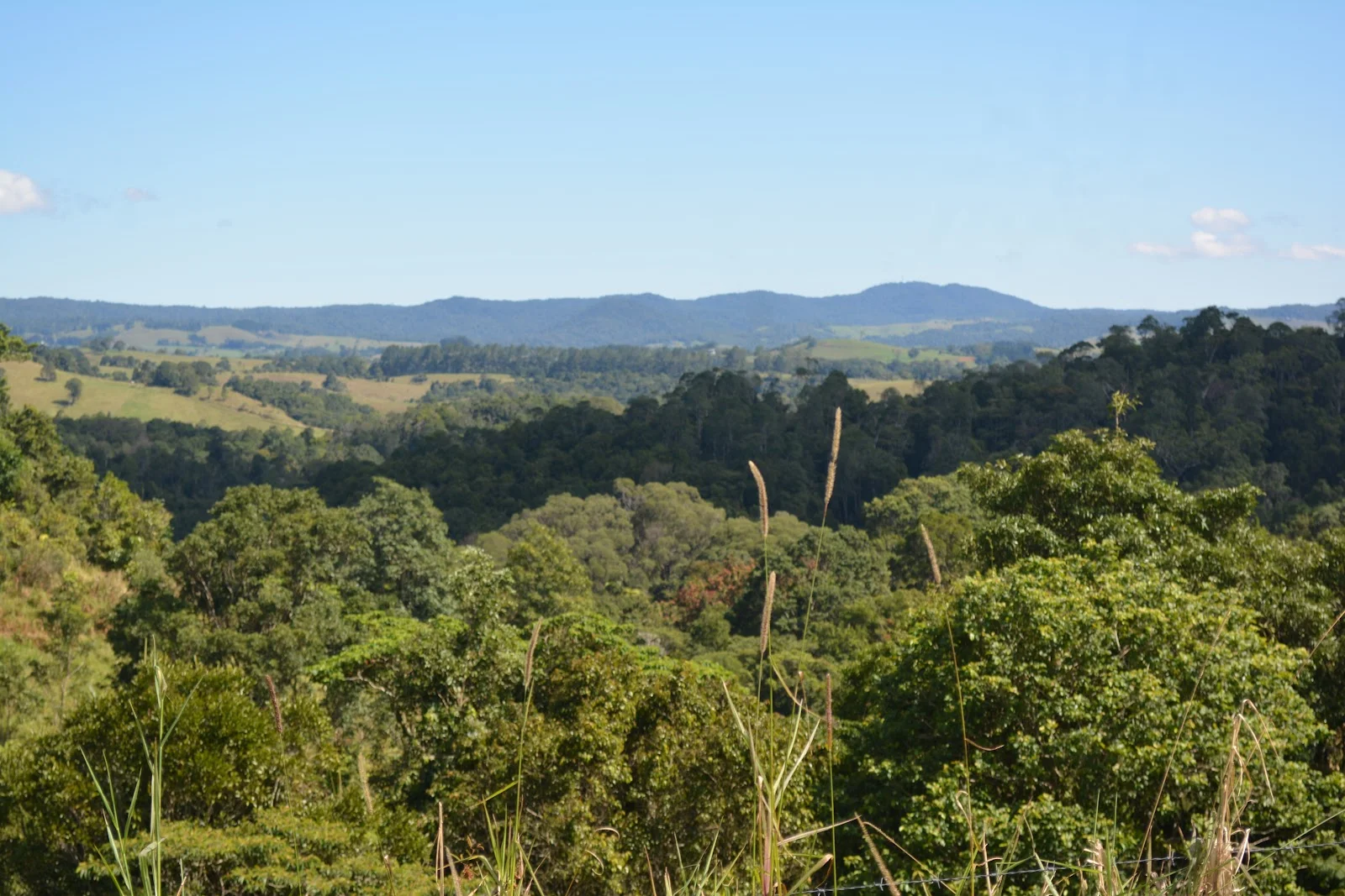 Additional image 13 of 581 Theresa Creek Road, Millaa Millaa QLD 4886