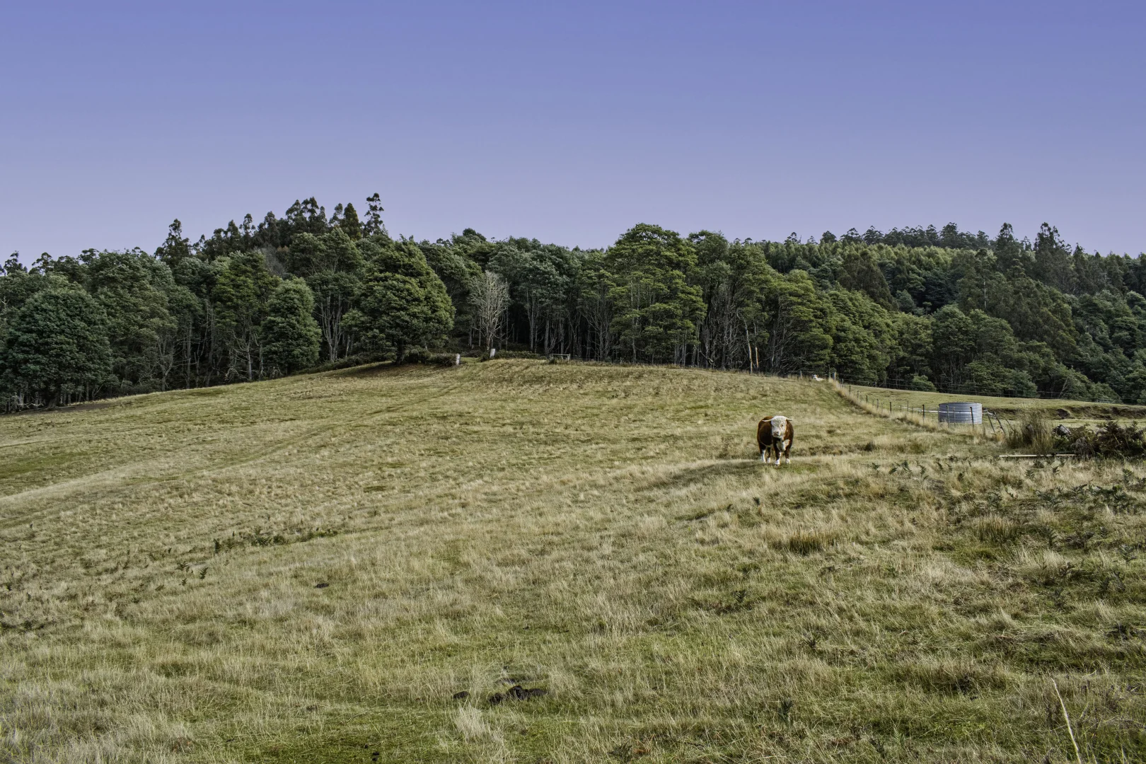 Additional image 48 of 304 Dickensons Creek Road, Glen Huon TAS 7109