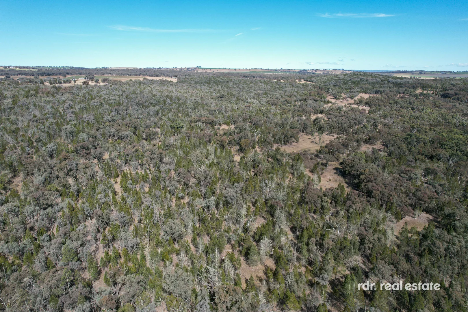 Additional image 31 of 38 Rickeys Lane, Inverell NSW 2360