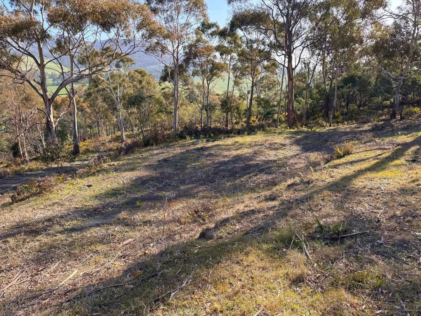 Additional image 5 of 26 Kandara Court, Campania TAS 7026