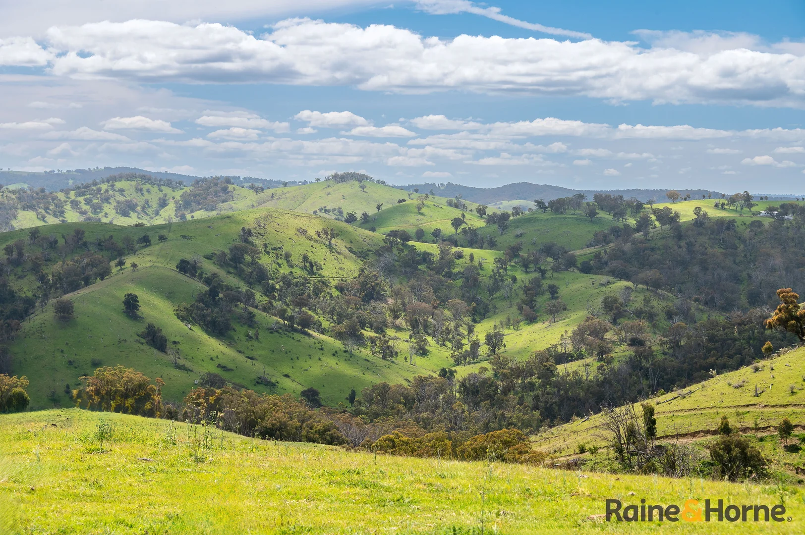 Additional image 6 of Lot 4/2553 Campfire Road, Walcha NSW 2354