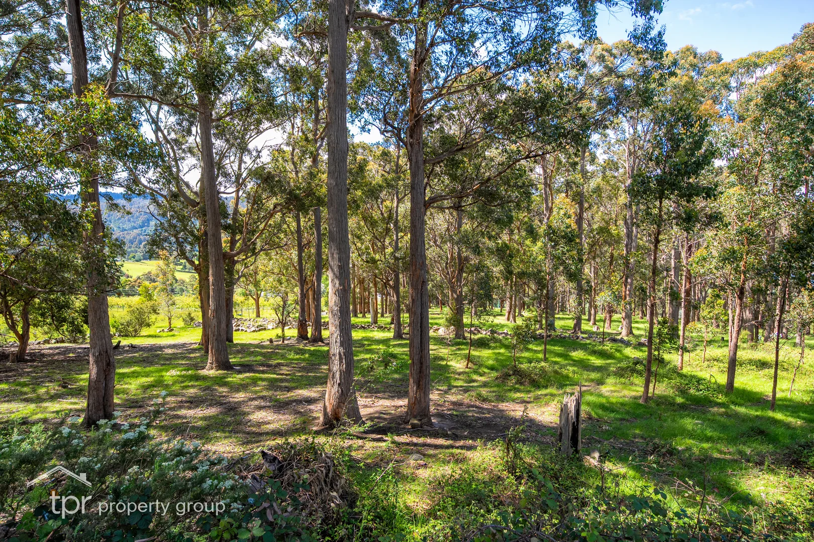 Additional image 20 of Lot 1 Braeside Road, Franklin TAS 7113