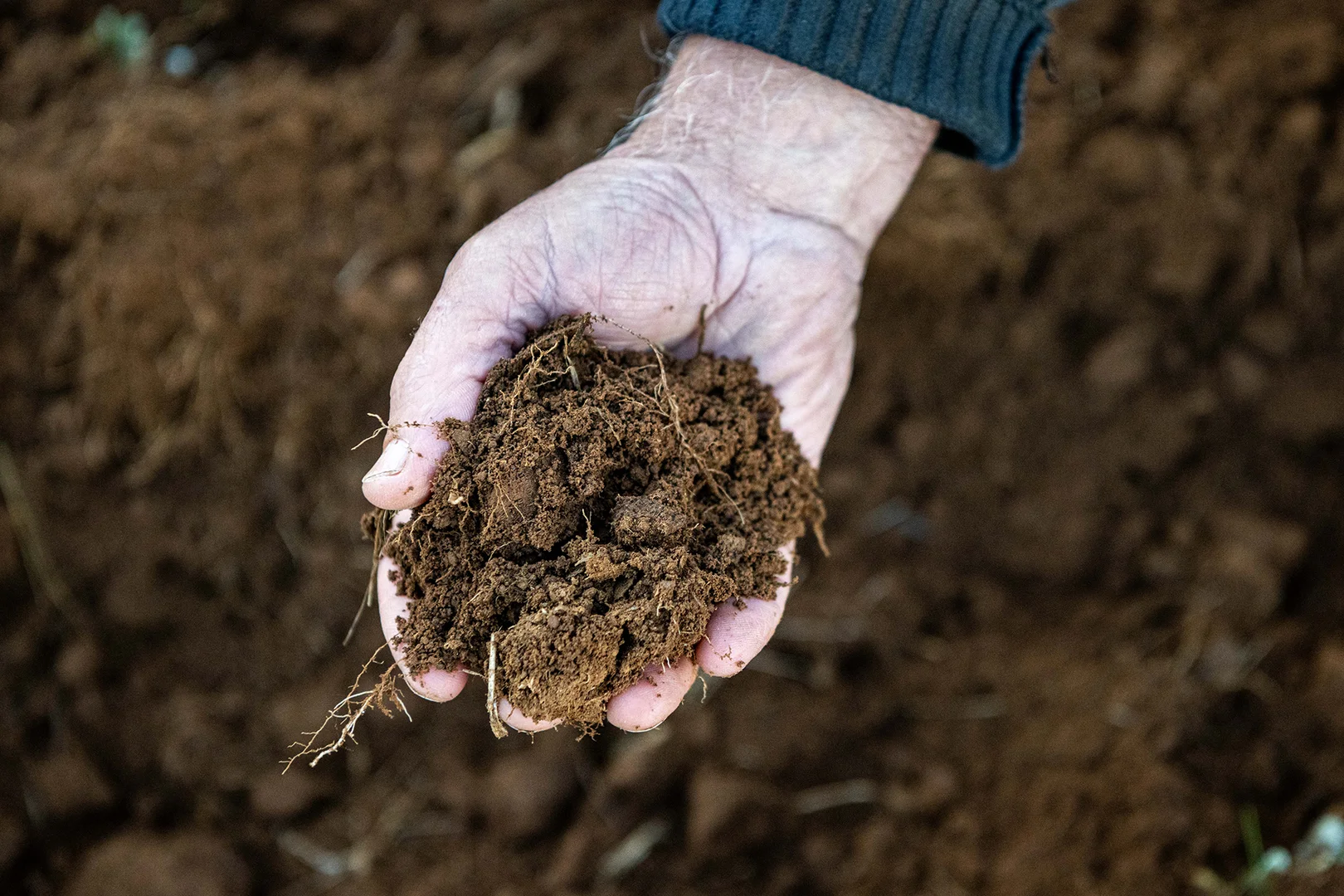 Additional image 35 of 1843 Yeo Yeo Hampstead Road, Young NSW 2594