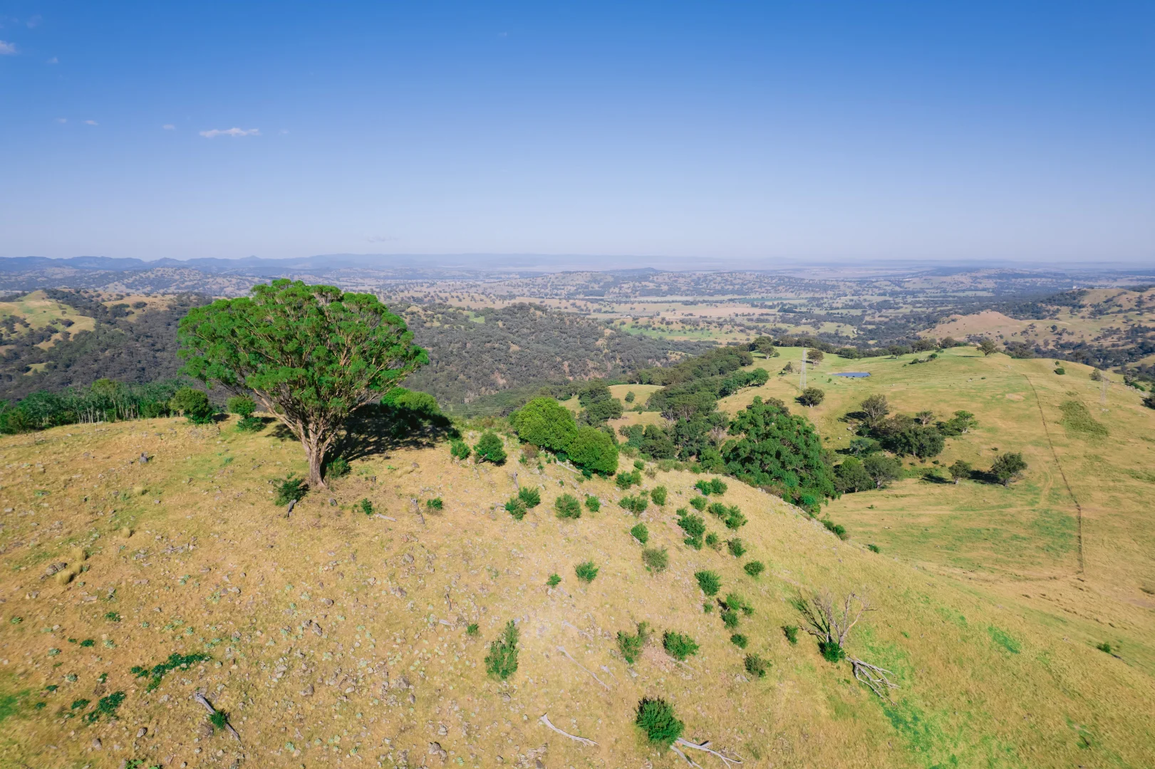 Additional image 13 of 7390 New England Hwy, Willow Tree NSW 2339