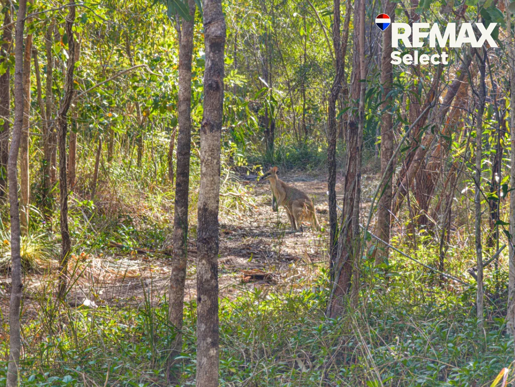 Additional image 9 of Lot 18 Adamson Street, Haliday Bay QLD 4740