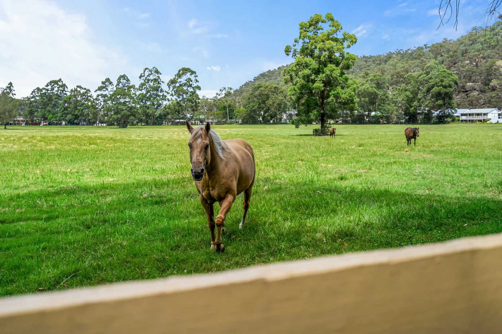 Additional image 19 of 18 Walmsley Rd, Lower Macdonald NSW 2775