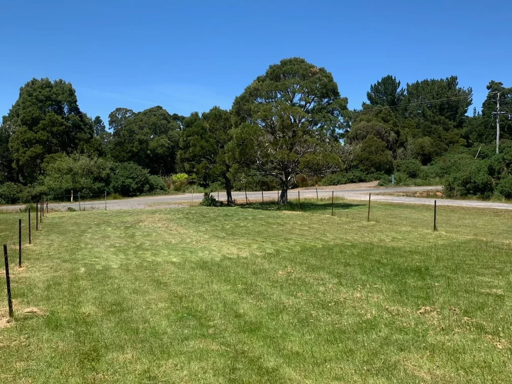 Additional image 2 of Zeehan TAS 7469