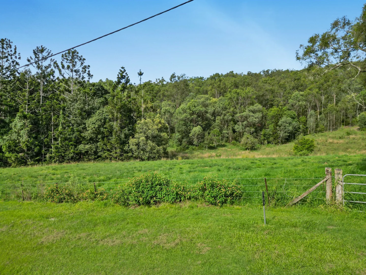 Additional image 6 of 169 Dunns Road, Wolffdene QLD 4207