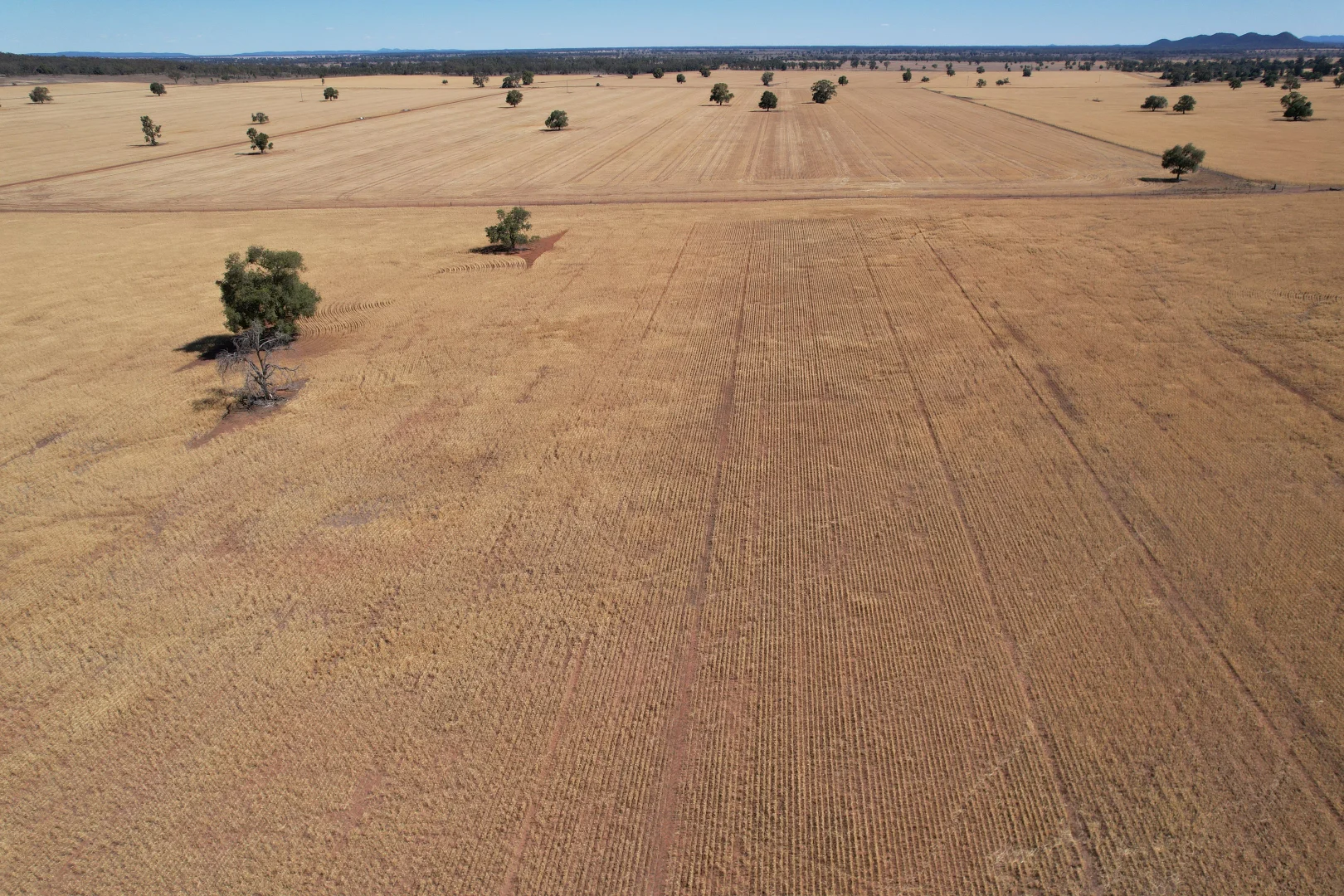 Additional image 16 of 120 Ganantagi Road, Yarrabandai NSW 2875