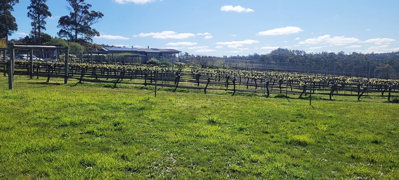 Additional image 8 of 150 Hjorts Road, Loira TAS 7275