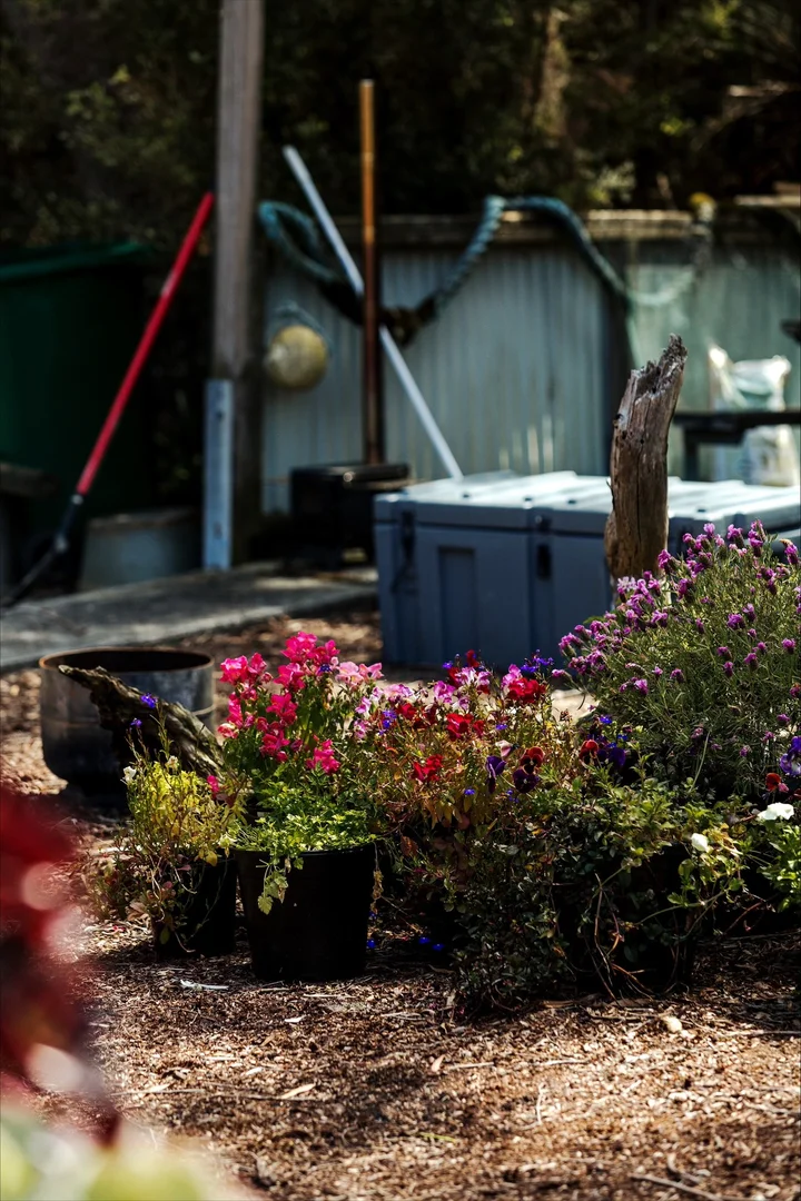 Additional image 11 of 539 Memana Road, Whitemark TAS 7255