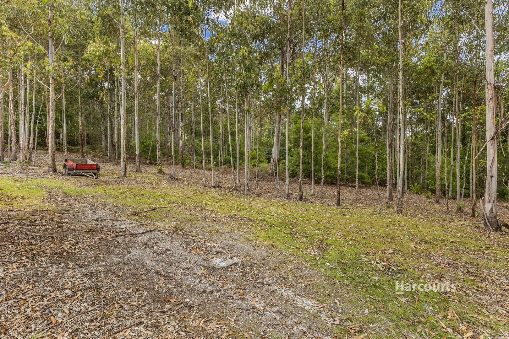 Additional image 35 of 22 Peppermint Drive, Penguin TAS 7316