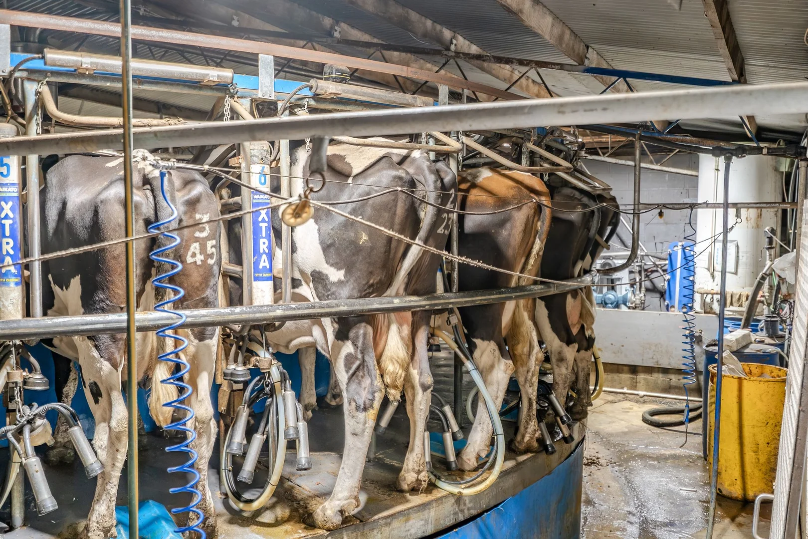 Additional image 10 of 170 Cobden Port Campbell Road, Scotts Creek VIC 3267