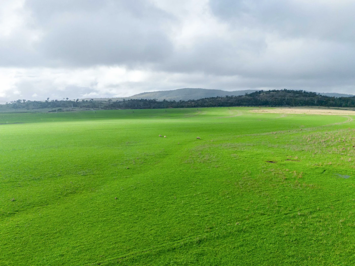 Additional image 3 of Evandale TAS 7212