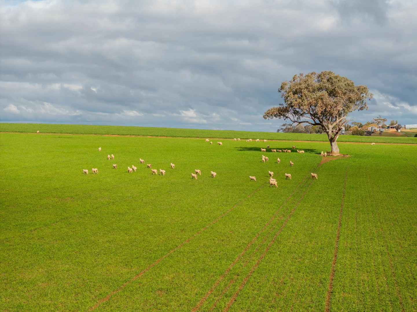 Additional image 21 of 79 Goldfields Way Old Junee Via, Wagga Wagga NSW 2650