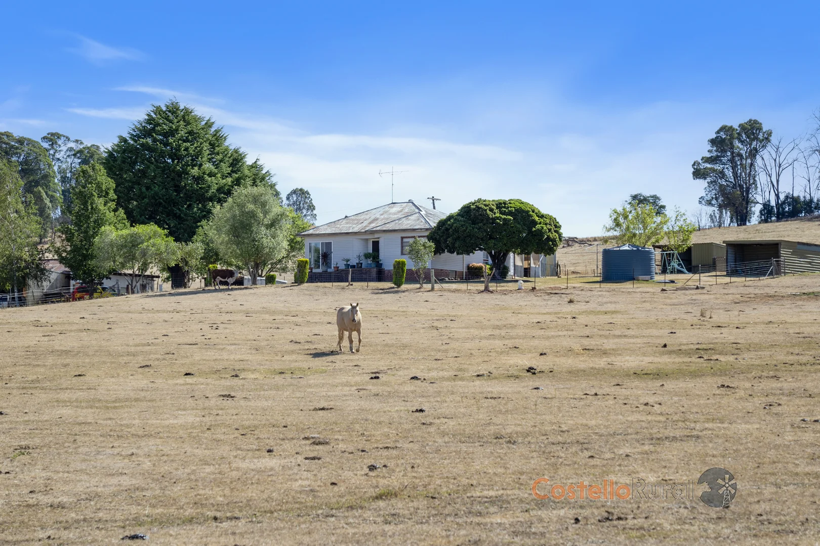 Additional image 7 of 195 Willigobung Road, Willigobung NSW 2653