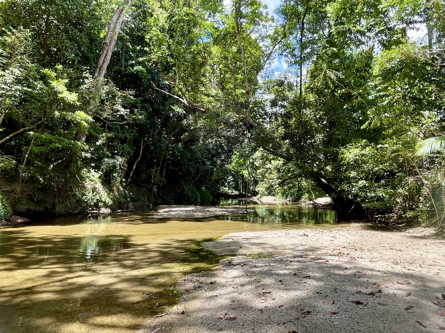 Additional image 4 of Lot 5 Whyanbeel Road, Whyanbeel, Mossman QLD 4873