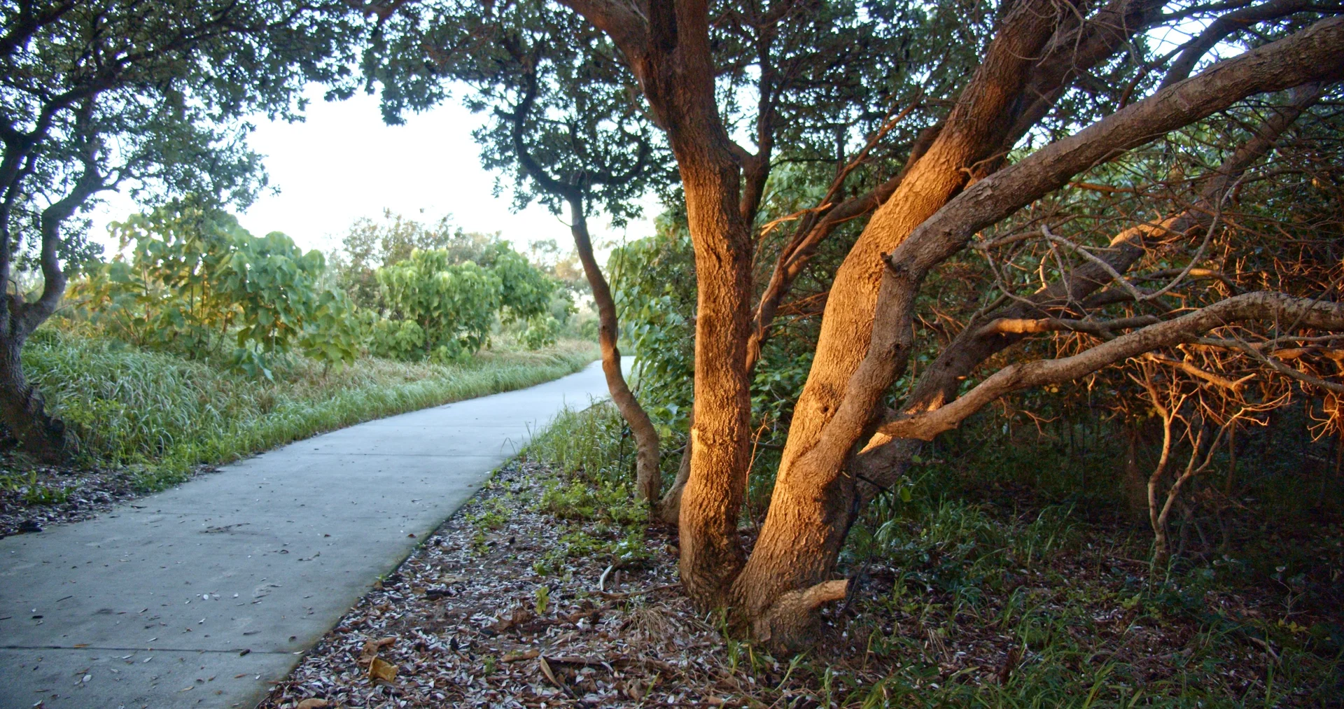 Additional image 15 of 32 MULGANI STREET, Warana QLD 4575