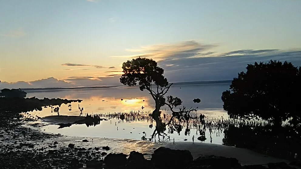 Additional image 31 of 31 Bayview Avenue, Tenby Point VIC 3984