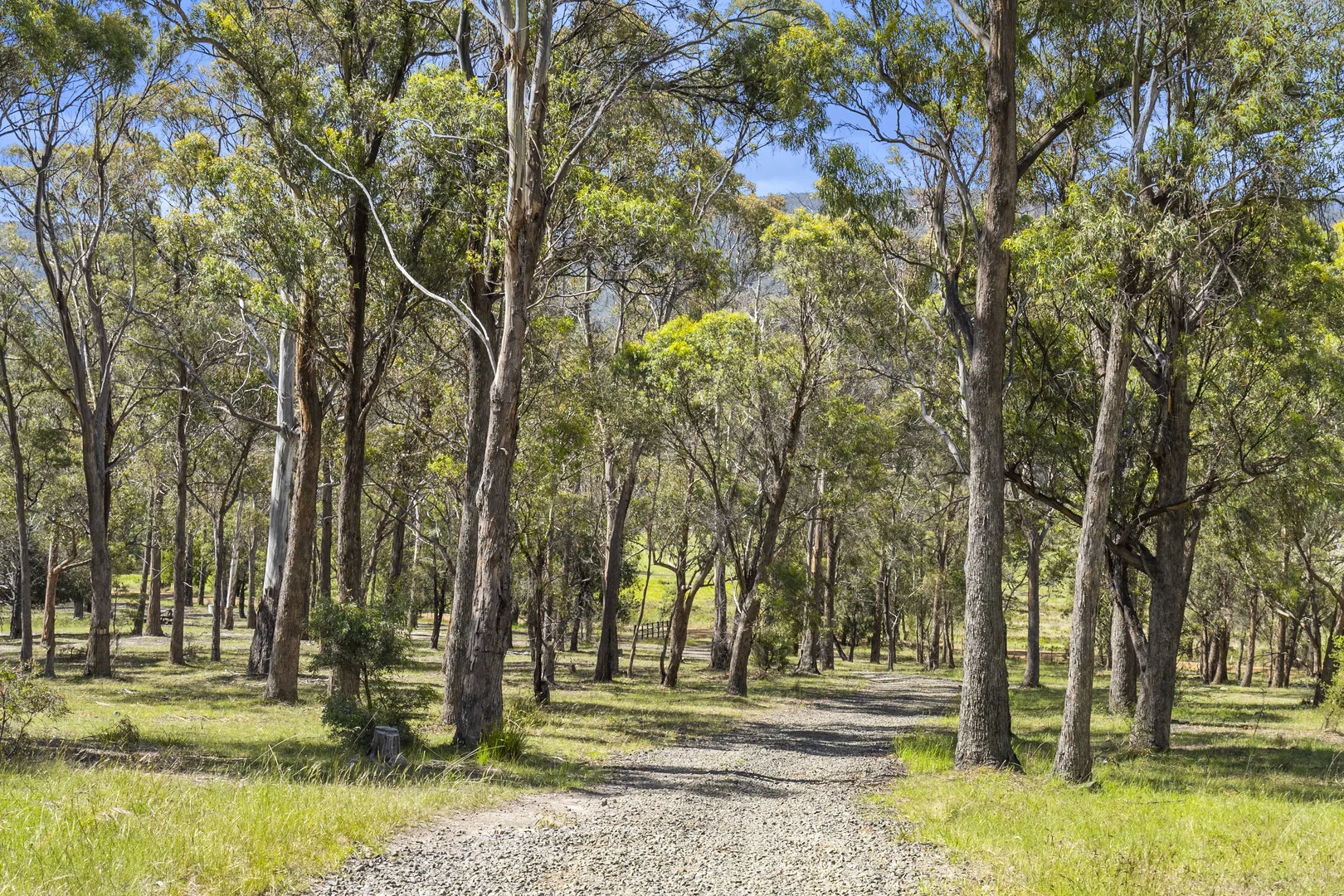 Additional image 29 of Shrub End Road, Pawleena TAS 7172