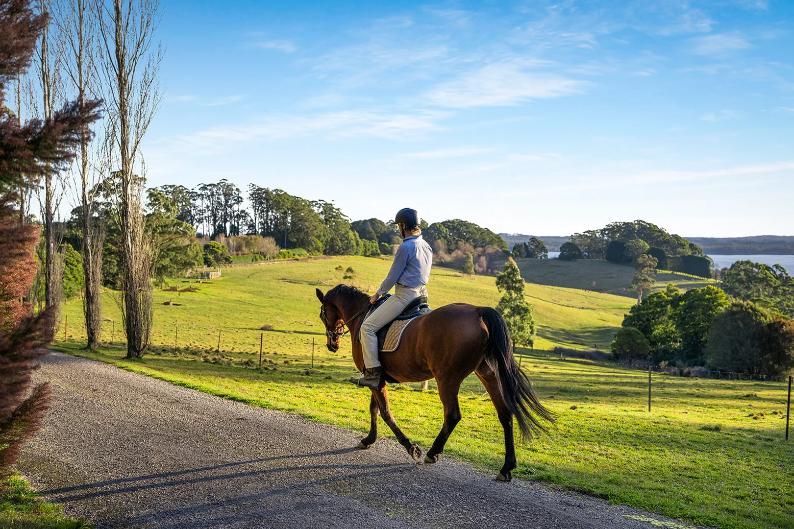 Additional image 12 of 421 Myra Vale Road, Wildes Meadow NSW 2577